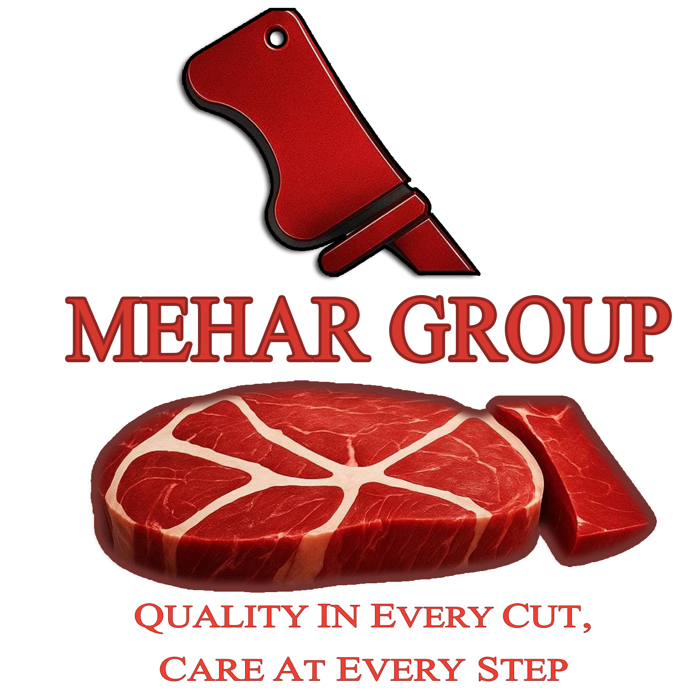 AL-SHAYZA INTERNATIONAL 