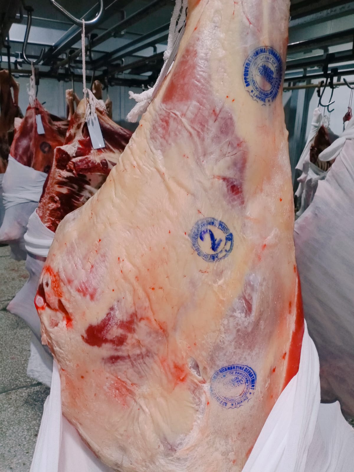 Image 22